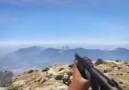 GTA V Gun Sync