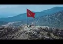 Güçlü Türkiye, Güçlü İslam Dünyası!