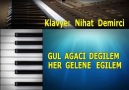 GÜL AĞACI DEĞİLEM