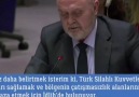 Gülay Koçak - Türkiye BM temsilcimiz akıcı İngilizcesi ile...