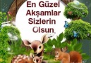 Gül Denizi. le 10 janvier 2018