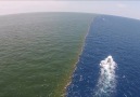 Gulf of Alaska where two oceans meet but never mix!