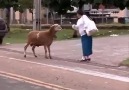 Gülme Garantili, Vurdulu, Kırdılı ve Toslamalı Bir Video :))