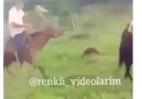 Gülmekten Karnıma Ağrılar Girdi ))) 3 Kankanı Etiketle