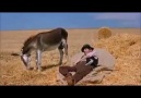 Gülmekten kırıldım ) ) Meğerse iş başkaymış ) ) )