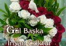 GüLomÇiçek Çoktur Ama GÜL Başka..İnsan Çoktur Ama DOST Başka....