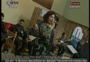Gülşen Kutlu _ Gel yanıma gel