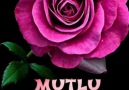 Gülün Sevdası - Hayırlı huzurlu Akşamlar diliyorum Facebook