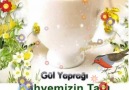 Gül Yaprağı - Afiyet olsun Facebook