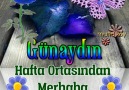 Gül Yaprağı - Günaydın çarşamba Facebook