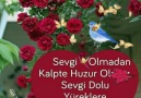 Gül Yaprağı le 30 janvier