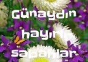 Gül Yaprağı le 8 mars