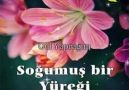 Gül Yaprağım le 27 janvier