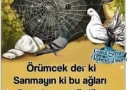 Gül Yaprağım le 27 mai