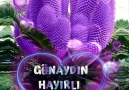 Gül Yaprağı - mutlu haftalar Facebook