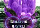 Gül Yaprağı - mutlu haftalar Facebook