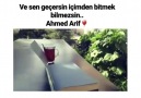 Günaydın - Ahmed Arif-Ahmet Telli-Can Yücel-Nazım Hikmet-Ömer Hayyam