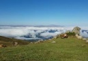 Günaydın bu sabaha güne kimler böyle uyanmak ister..