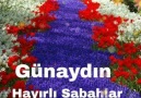 G Ü N A Y D I N Dertten... - Yanlız seni sevdim