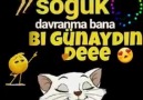 Günaydın Hanım huuu