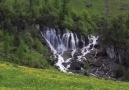 Günaydın hayat ! Yüreği güzel... - Bir Su Misali Hayat