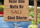 Günaydın Hayırlı GünlerGül Denizi.