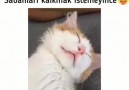 Günaydın Kalemden Gelenler&her daim... - Kalemden Gelenler