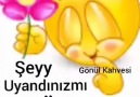 Günaydın Şiir Sokağim