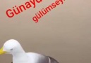 Günaydın - ŞrFin İçiLc ş yo SatıLmış ütün SvgiLr (!)