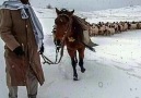 Gunde Heciliya - Olurda eski akşamlar geliverse birgün...