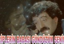 GÜNDÜZÜM SENİNLE