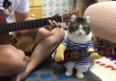Güne gitar keyfiyle başlayın!