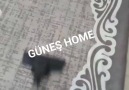 Güneş Home