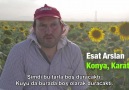 Güneşin öncüleri: Esat Arslan