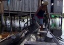 Güney Amerikalı Kadınların Kaplumbağa Avı