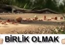 Günümüzde ihtiyacımız olan tek şey bu işte..Lütfen paylaşın..