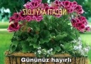 Gurbet kuşlari - GÜNAYDIN MUTLU HAFTASONNLARI