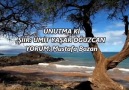 Gürsel Pal - UNUTMA Kİ - Ümit Yaşar Oğuzcan ( Mustafa BOZAN) Facebook