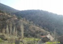 GUŞDİLLİ ŞABAN SİREL (( ramhmetle anıyoruz ))