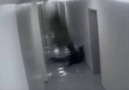 GÜVENLİK KAMERASI KORKUNÇ BİR ŞEY YAKALAMIŞ 18