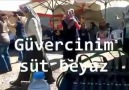 Güvercinim Süt Beyaz Mustafa Er Farkıyla