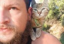 Guy biking across the world finds a kitten he can&leave behind