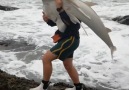Guy Carries Shark Back To The Ocean
