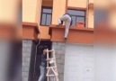 Guy Pulls Off Hilarious Ladder Prank