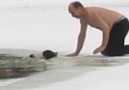 Guy Saves Dog Who Fell Through Ice