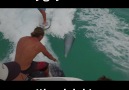 Guy Wakesurfs With Dolphin