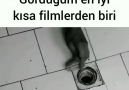 Güzel bir kısa film.