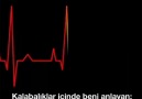 Güzel sözler - hesabımız...