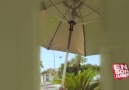 Hacı adaylarına güneş enerjili pervaneli şemsiye