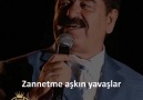 Hadi bakalım herkes yoruma bir Ayşe etiketlesin